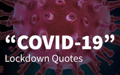 covidlockdownquotes covidlockdownquotes